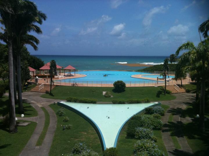 L'Oiseau Du Paradis Vue Mer Studio A Saint Francois A 100 M De La Plage Room photo